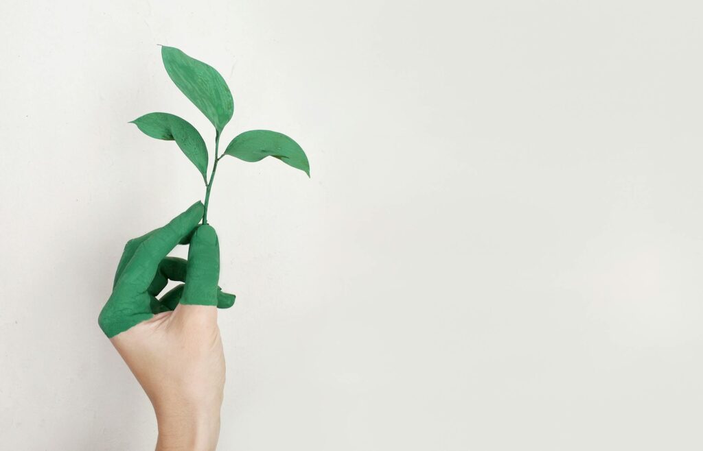 Hand holding a plant.